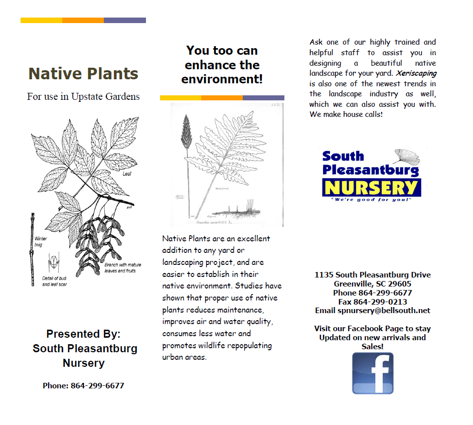 nativeplant