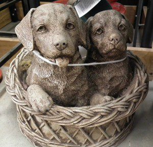 "Yes, we're puppies in a basket." 