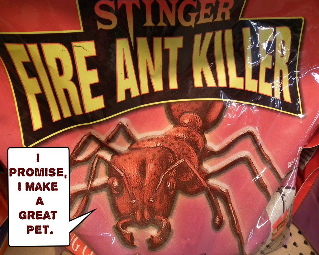If don't already have them, why not prevent them from setting up shop to begin with? Stinger is going to give you protection from Fire Ants before they even move the first granule of dirt. By preventing them from getting in your yard to begin with, you'll have a lot fewer incidences of happening upon a surprise mound. It must be said though, Fire Ants MIGHT just decide they'll set up shop in your neighbors yard instead - so - use caution when going to ask to borrow a cup of sugar or power tools or anything.