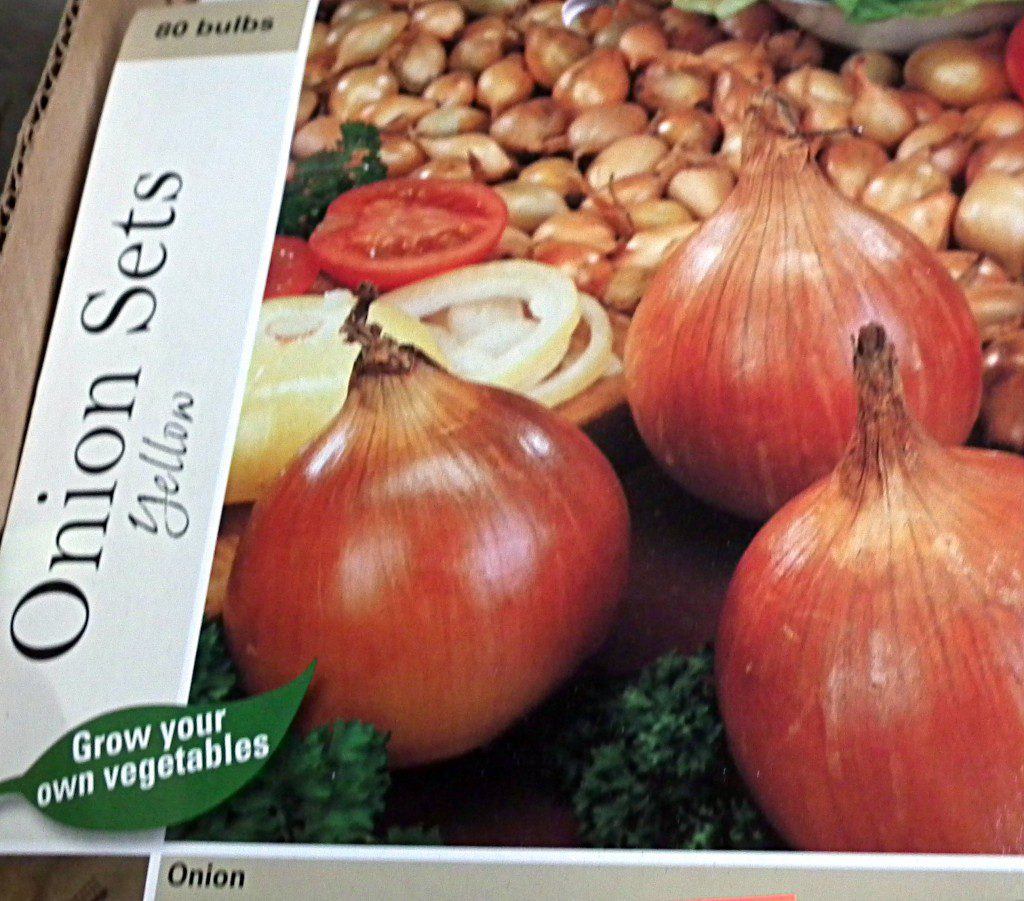 onionsets